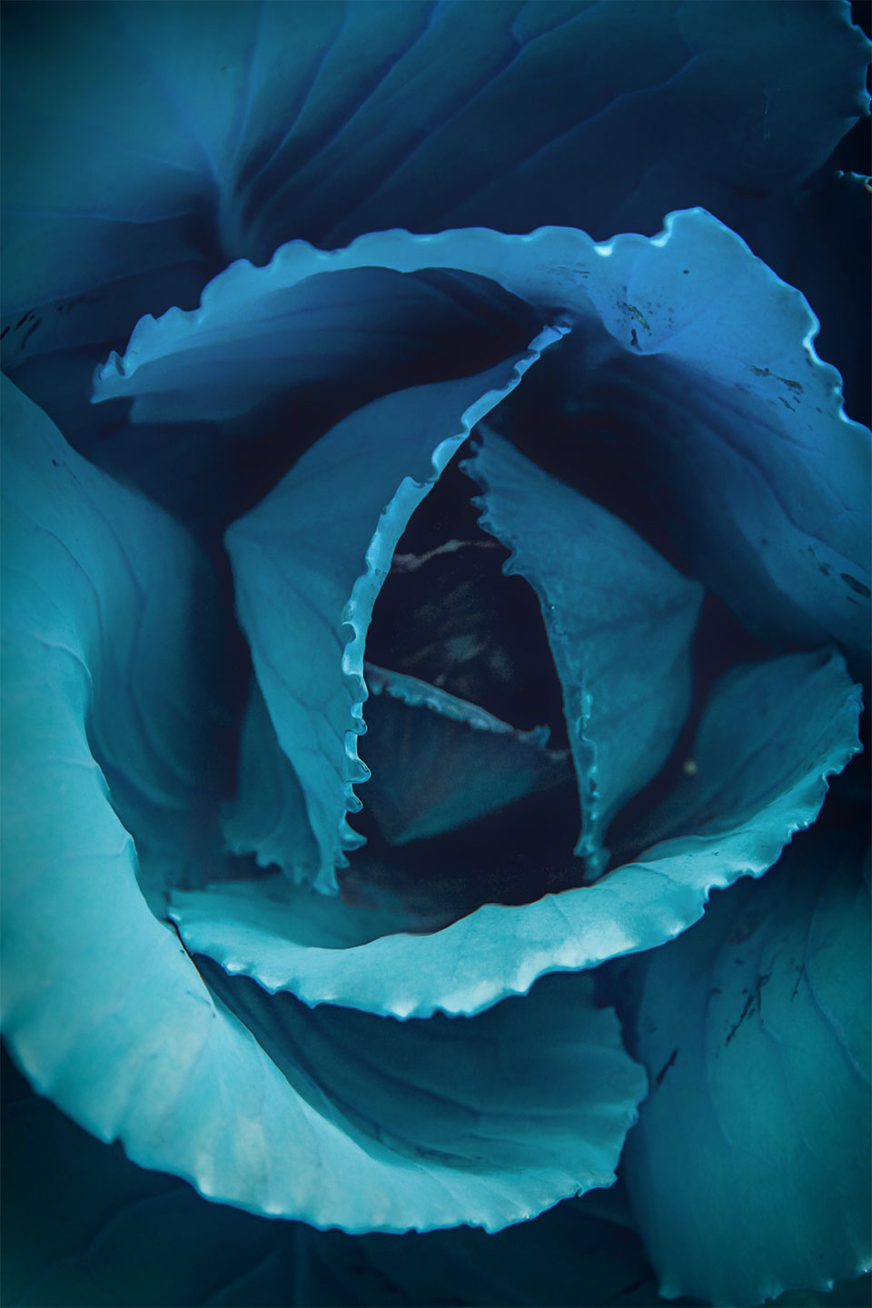 blog-thumbnail-4